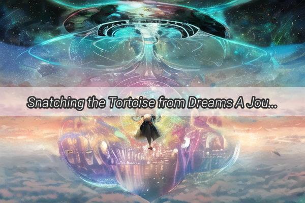 Snatching the Tortoise from Dreams A Journey into the Symbolic World of Dream Catching